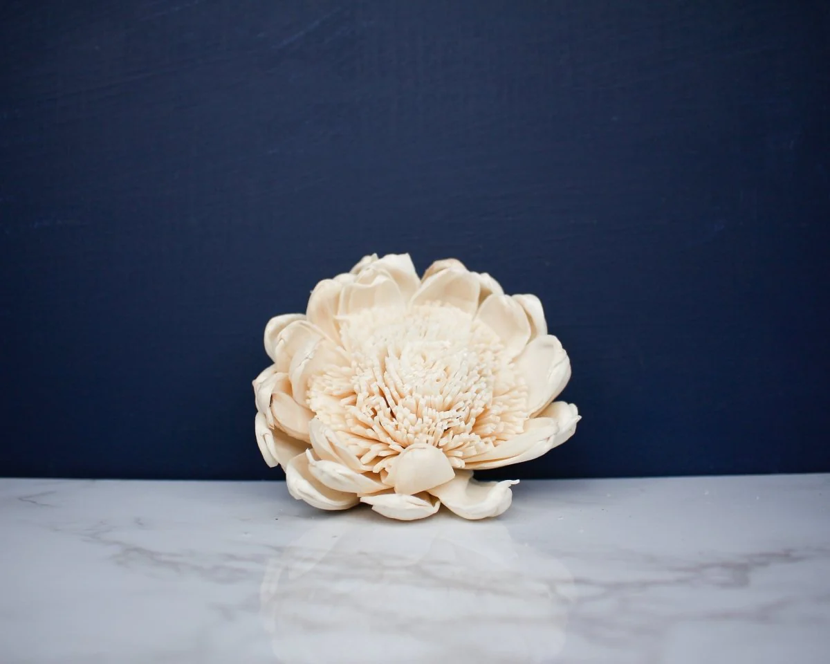 3" Royal (10 pack) - Image 2