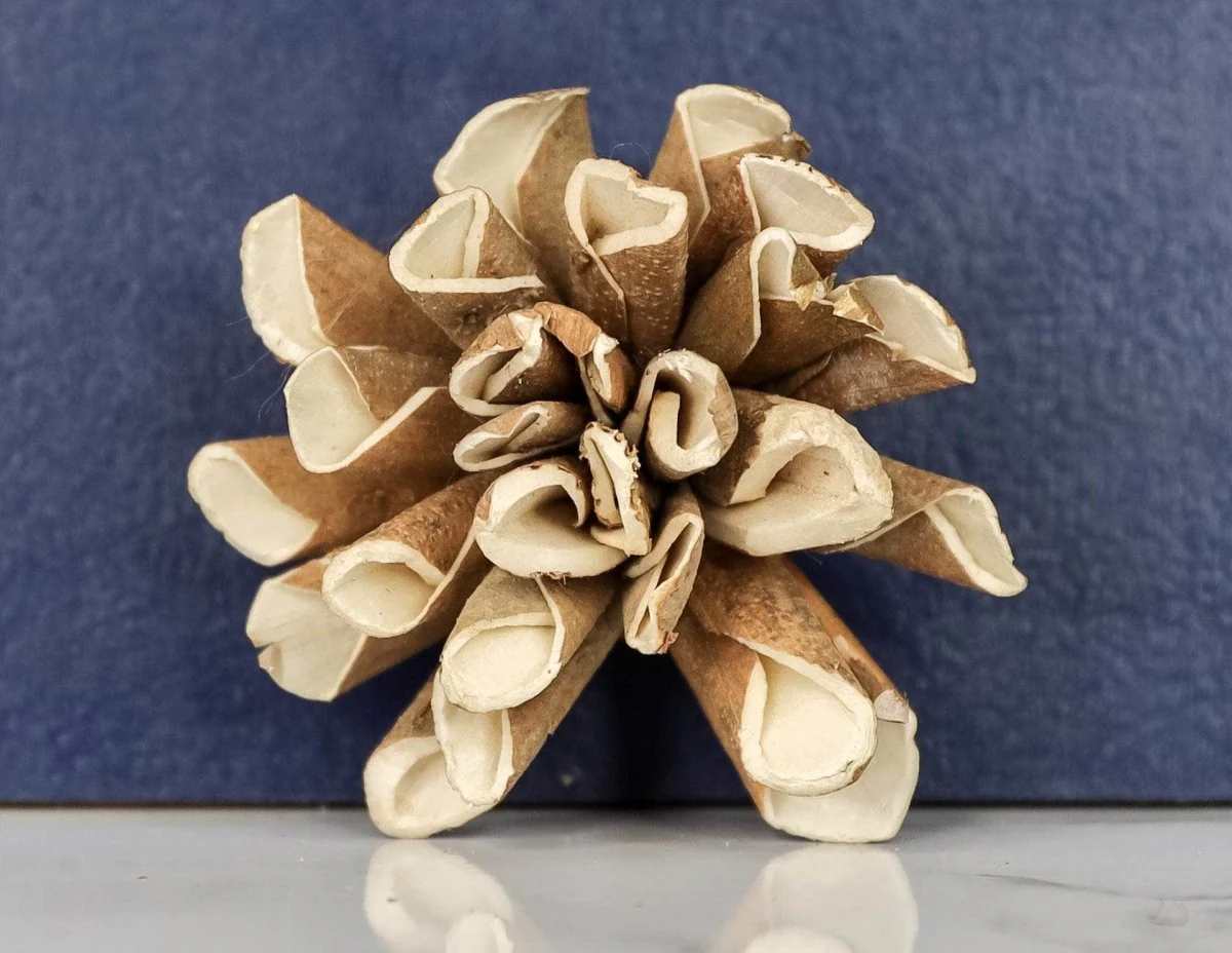 3" Bark Dahlia (10 pack) - Image 2