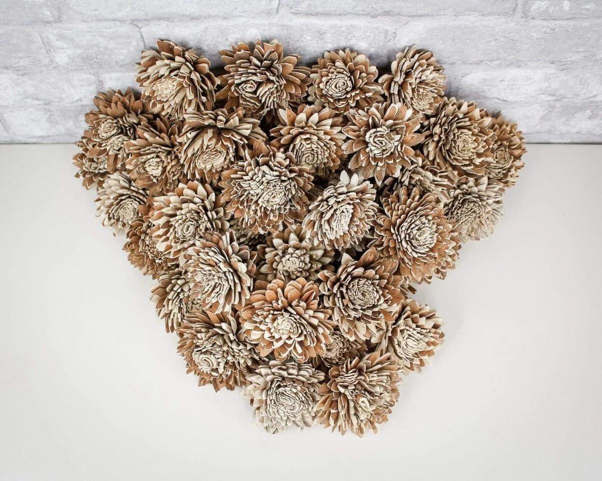 3" Bark Zinnia - 50 Pack - Image 3