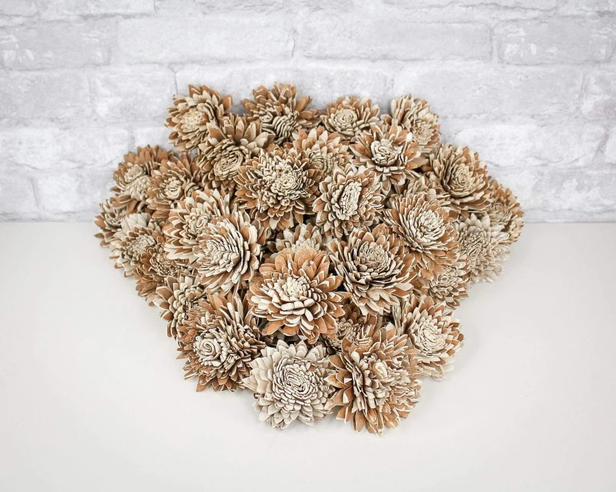 3" Bark Zinnia - 50 Pack - Image 5