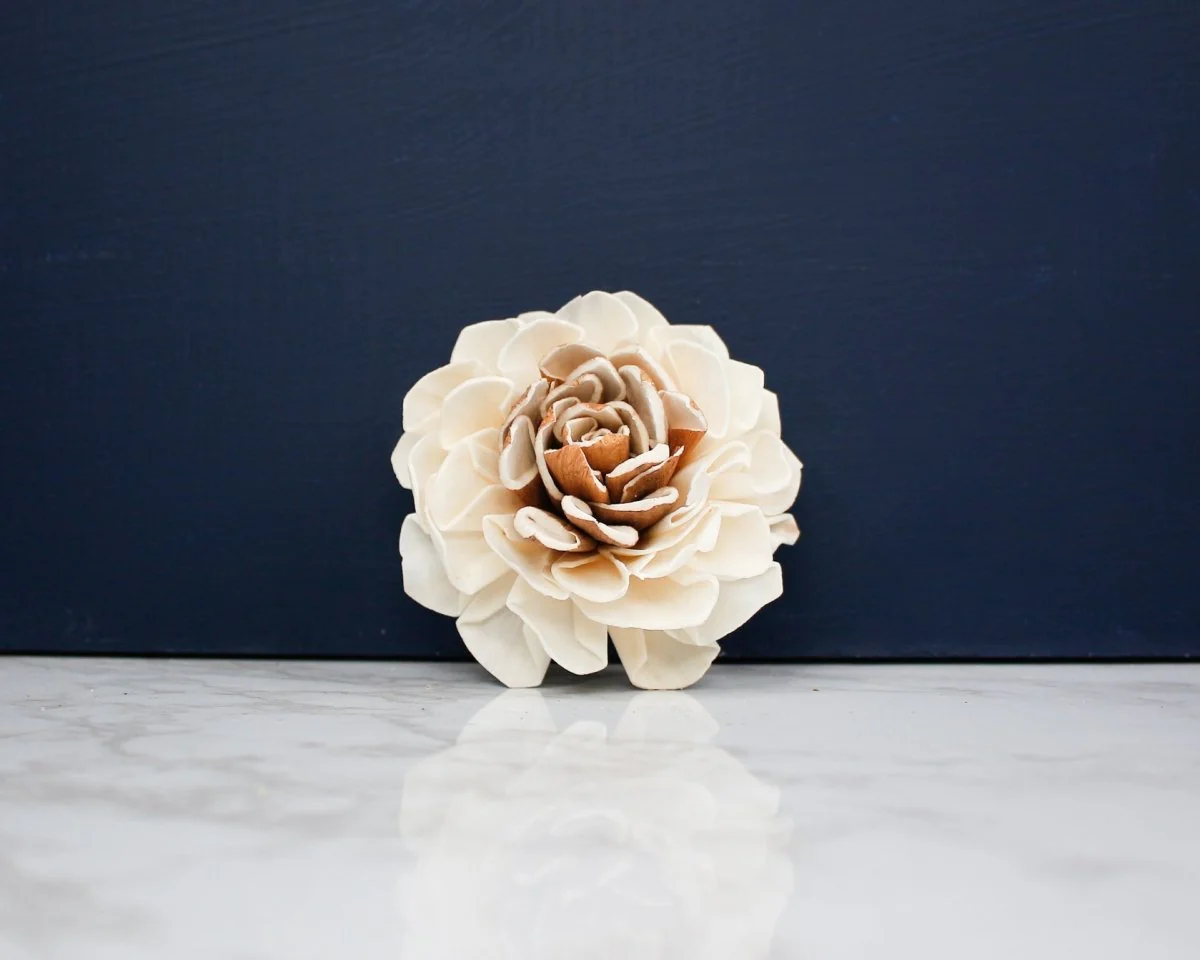 3" Starla (10 Pack) - Image 2