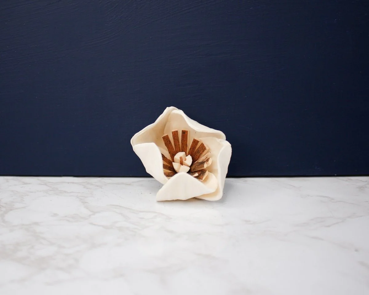 3" Sweetbay Magnolia (10 Pack) - Image 2