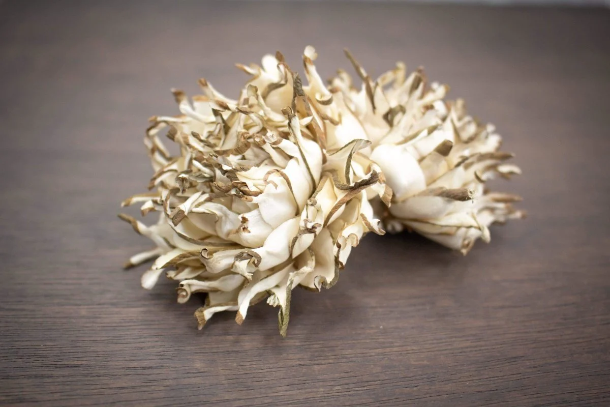 3" Thistle (10 Pack) - Image 2