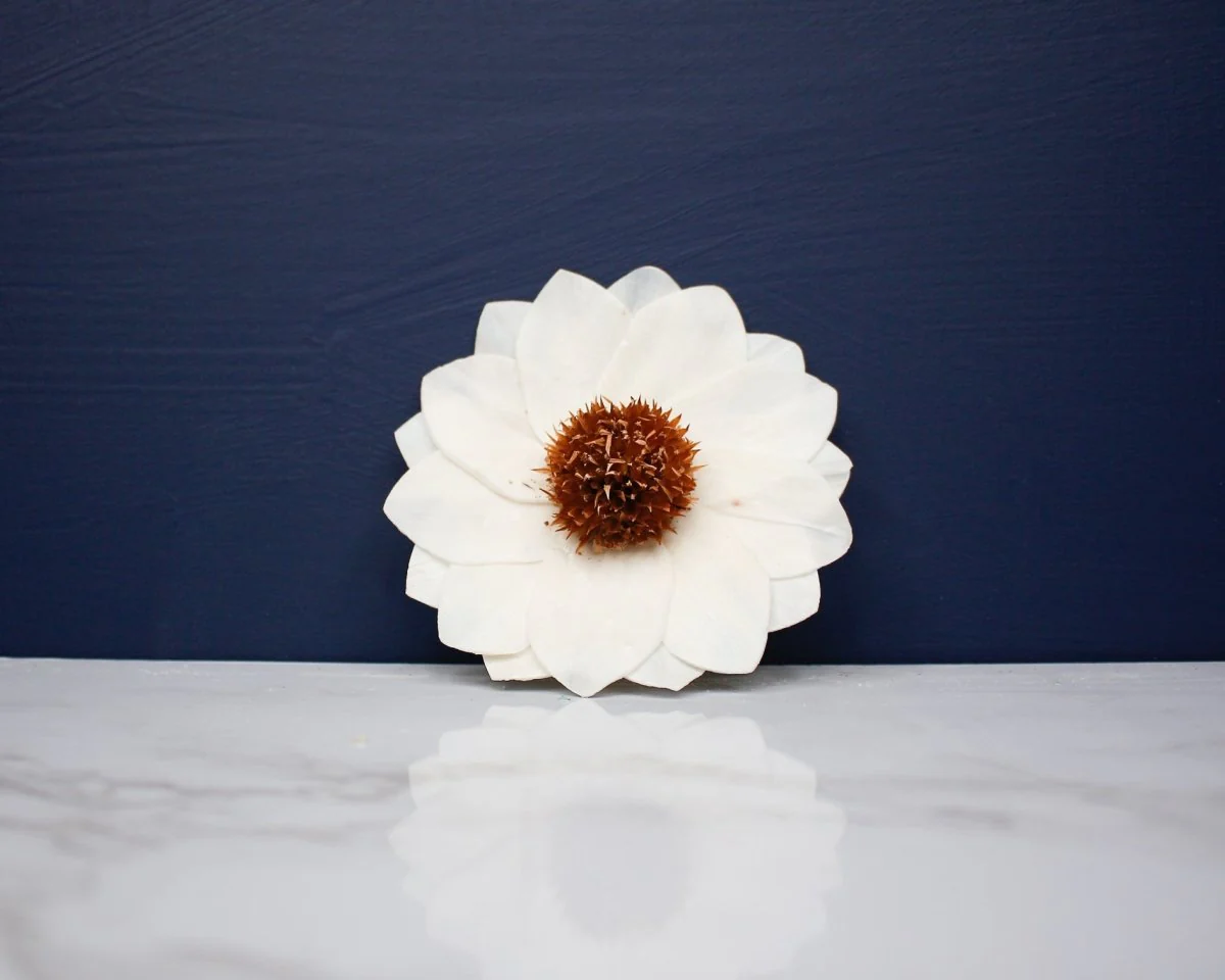 3" Thistle Sunflower (10 pack) - Image 2
