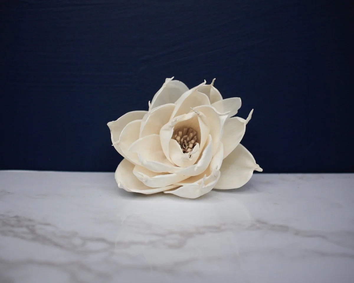 3" Twila (200 Pack) - Image 2