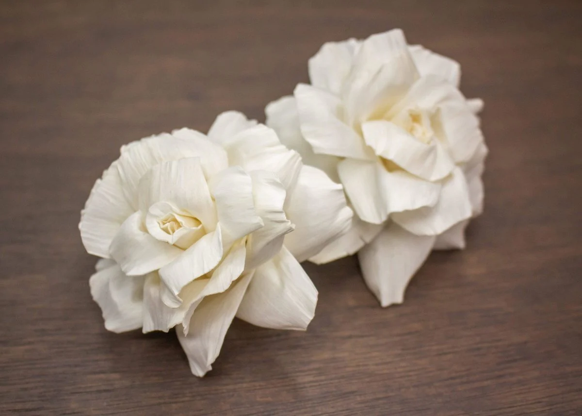 3" Valencia (3 Pack) - Image 2