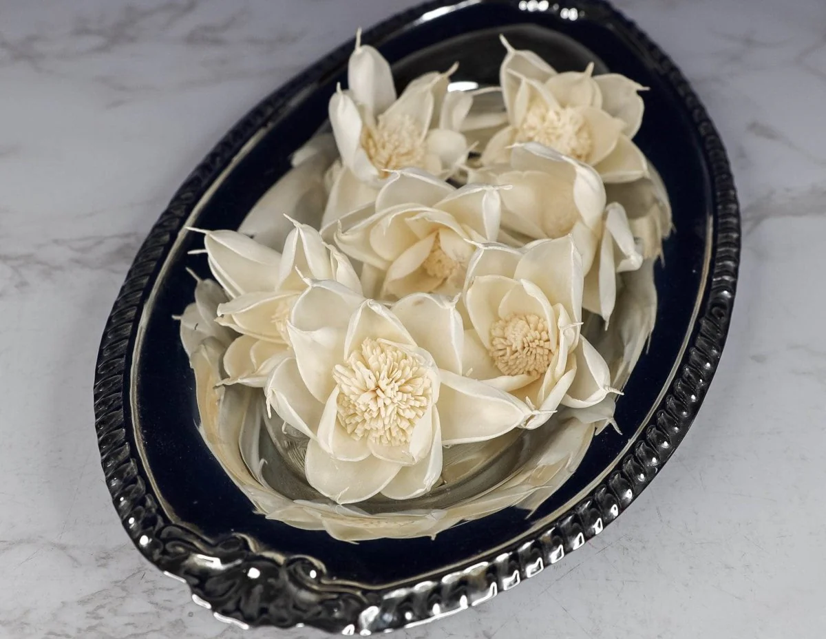 3" Veronica (10 Pack) - Image 3
