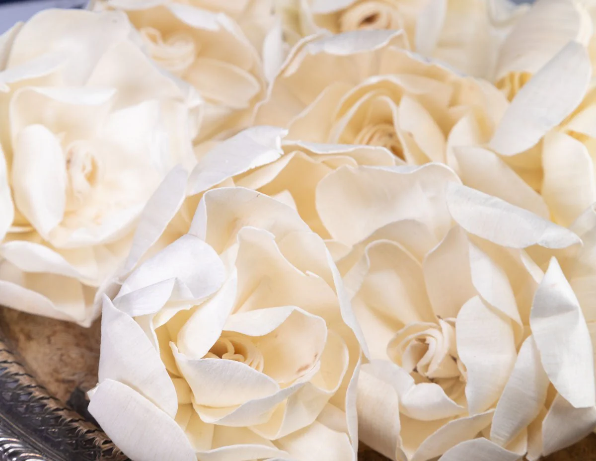 4" Aimee Gardenia (10 Pack) - Image 2