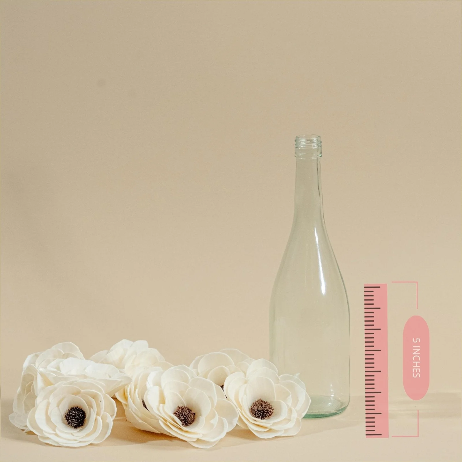 4" Anemone (10 Pack) - Image 2
