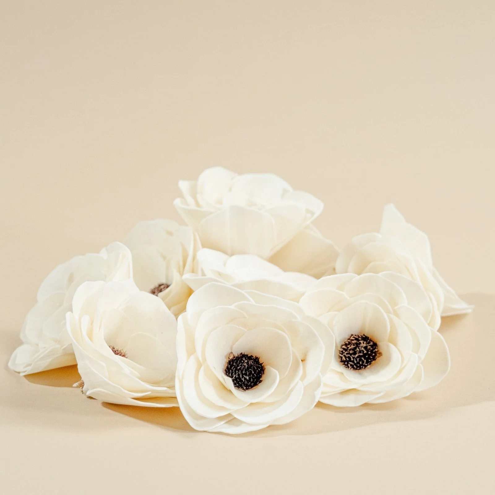 4" Anemone (10 Pack) - Image 4