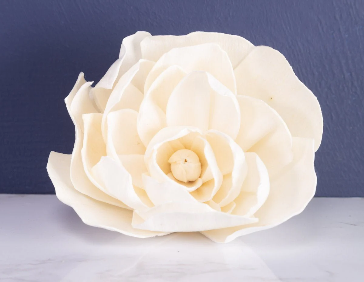 4" Bartzella Peony (10 Pack) - Image 3