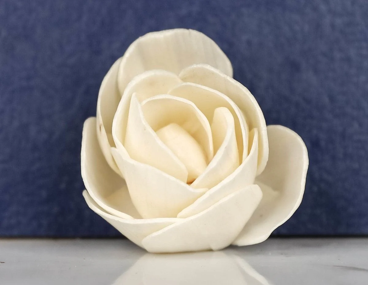 4" Bay Bay (10 Pack) - Image 2