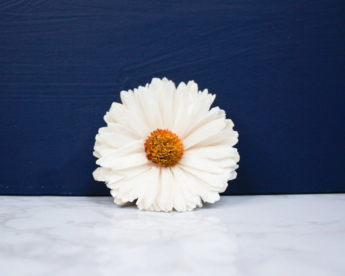 4" Classic Daisy (10 Pack) - Image 2