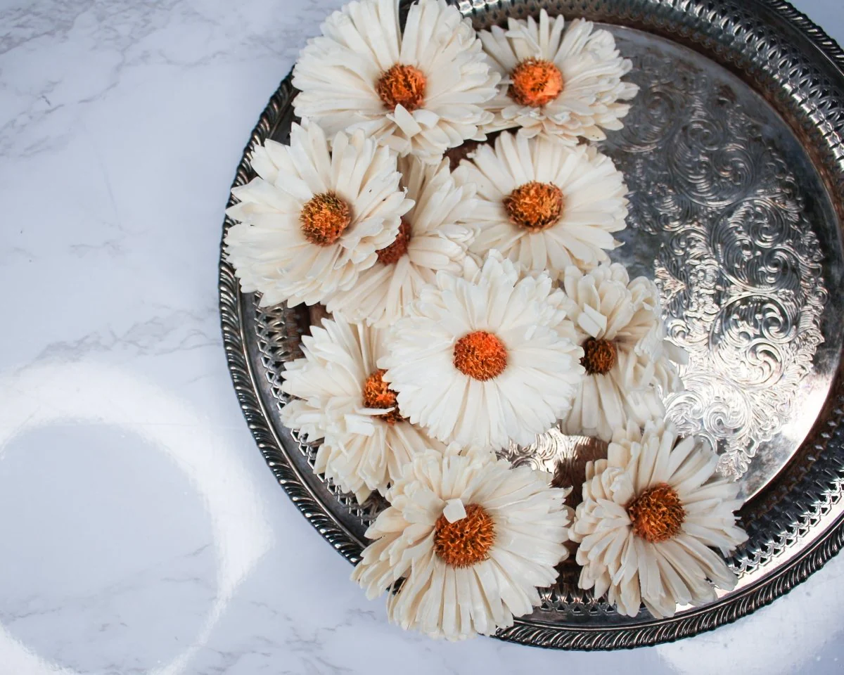4" Classic Daisy (10 Pack) - Image 4