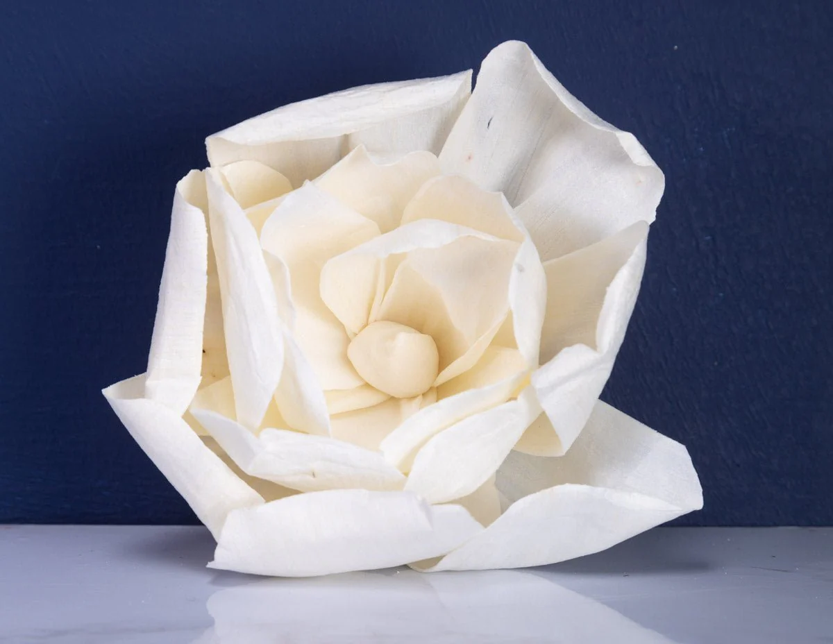 4" Crown Jewel Gardenia (10 Pack) - Image 3