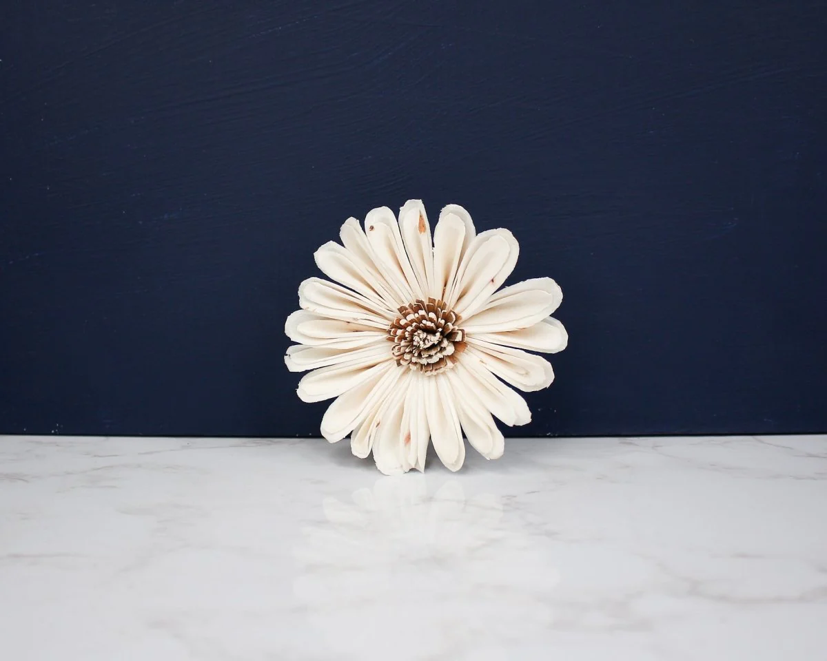 4" Daisy May (10 Pack) - Image 2