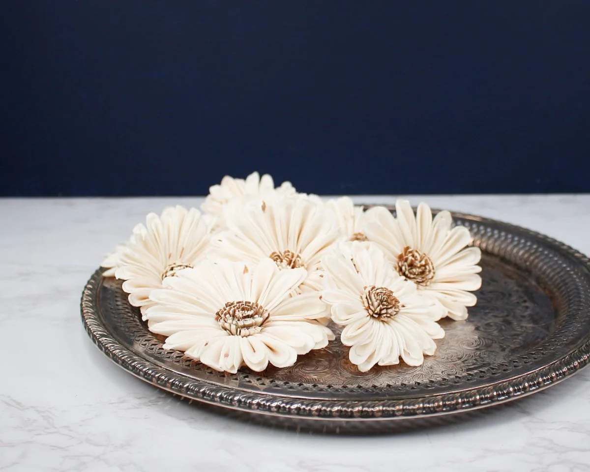 4" Daisy May (10 Pack) - Image 3