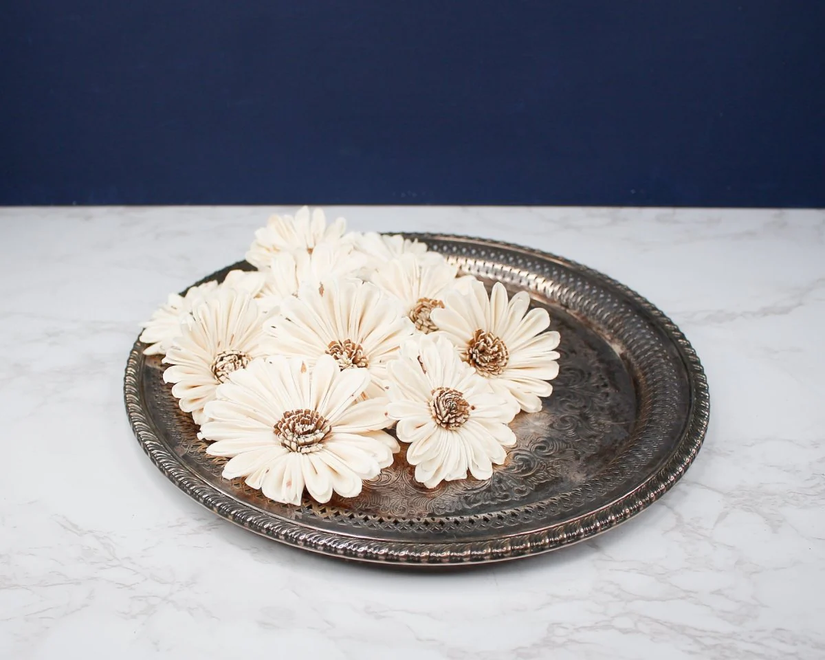 4" Daisy May (10 Pack) - Image 4