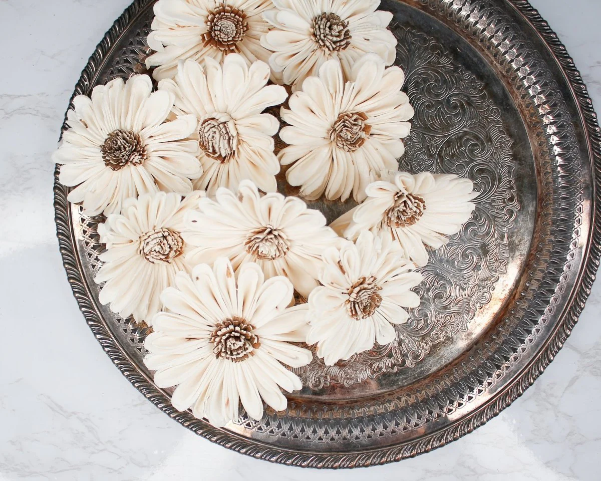 4" Daisy May (10 Pack) - Image 5