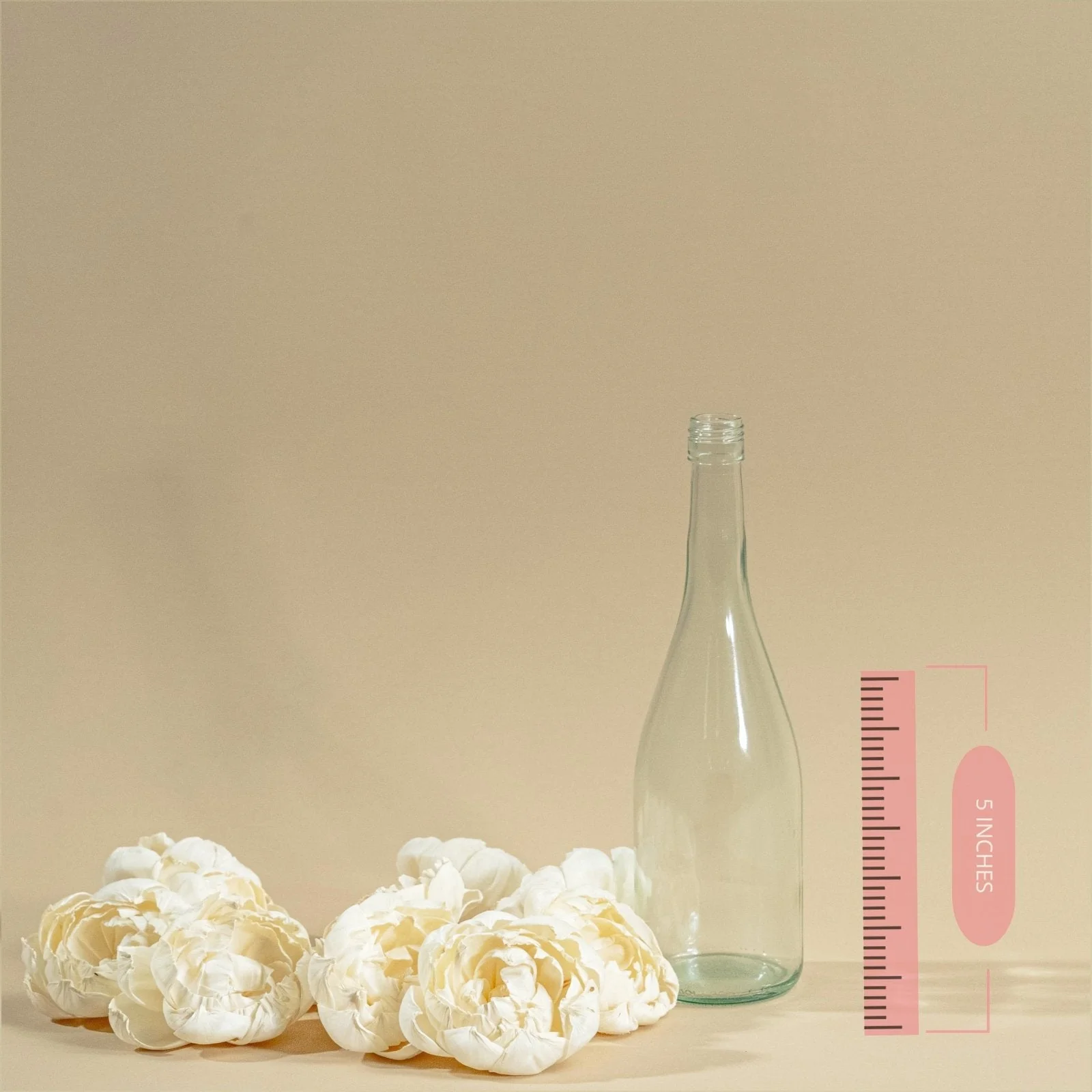 4" Dorothy (10 Pack) - Image 2