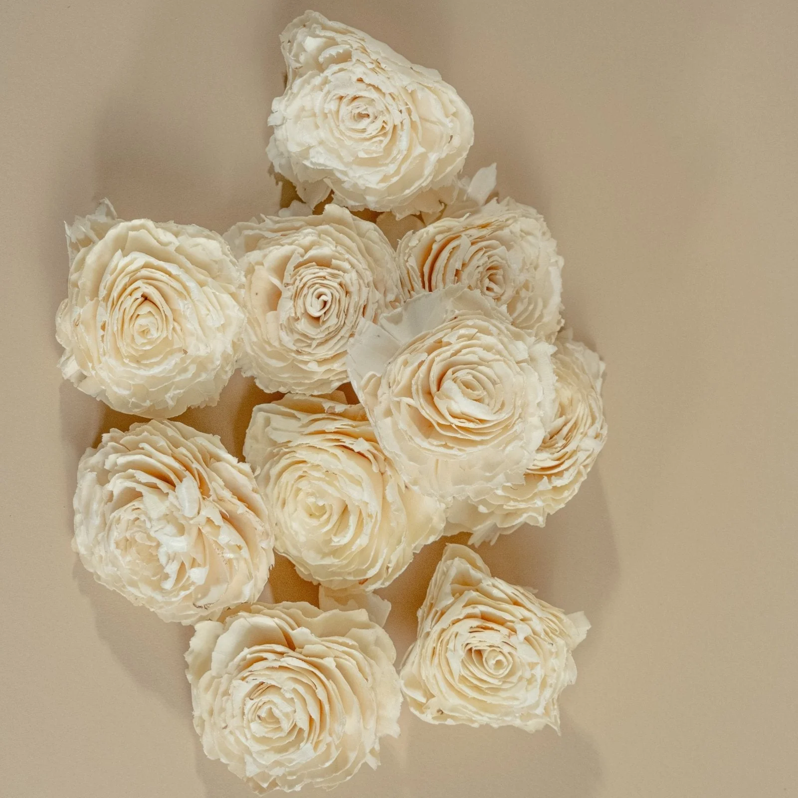 4" Dorothy (10 Pack) - Image 3