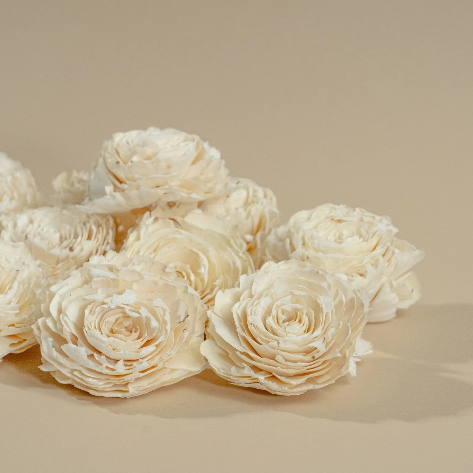 4" Dorothy (10 Pack) - Image 4