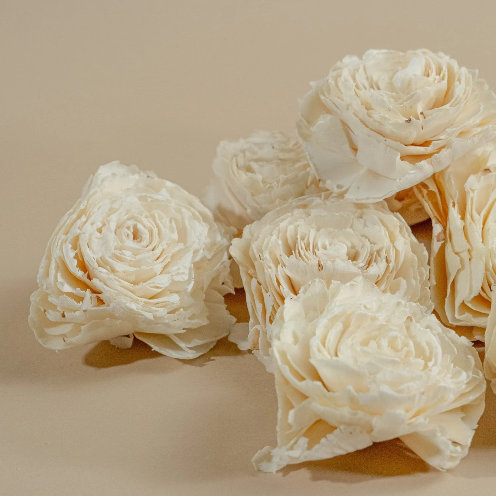 4" Dorothy (10 Pack) - Image 5