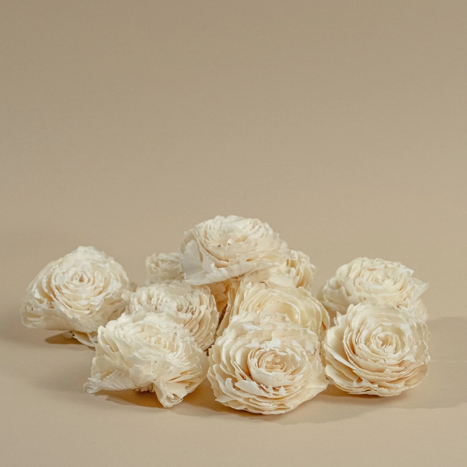 4" Dorothy (10 Pack) - Image 6