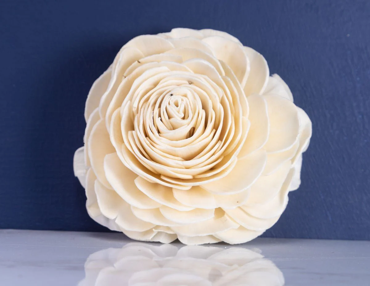4" Jackie (10 Pack) - Image 3
