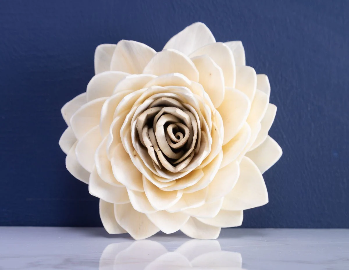 4" Josey (10 Pack) - Image 3