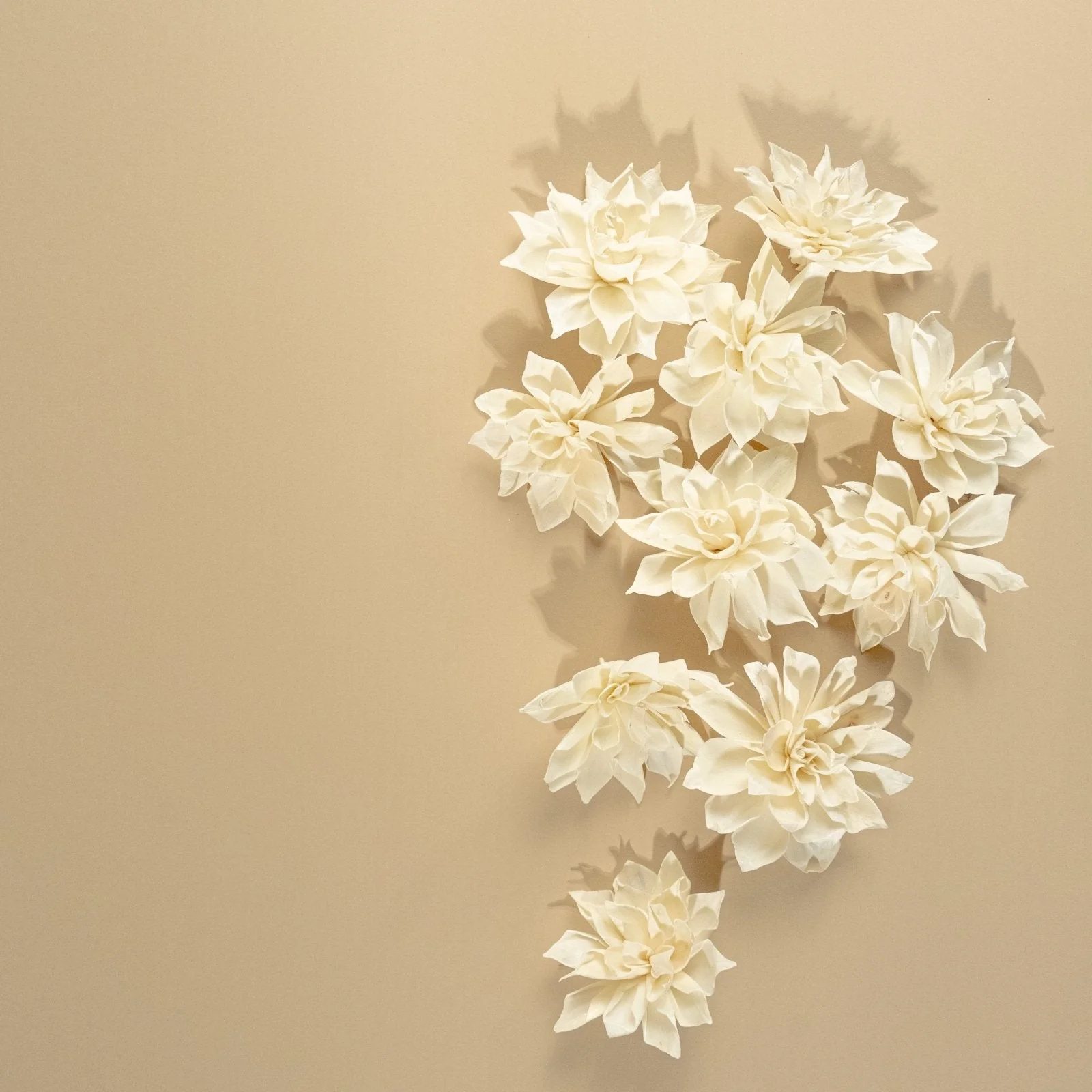 4" Labyrinth Dahlia (10 Pack) - Image 4
