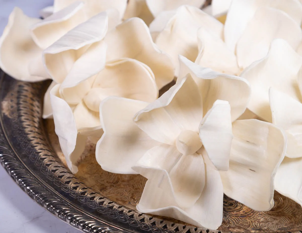 4" Magnolia  (10 Pack) - Image 2