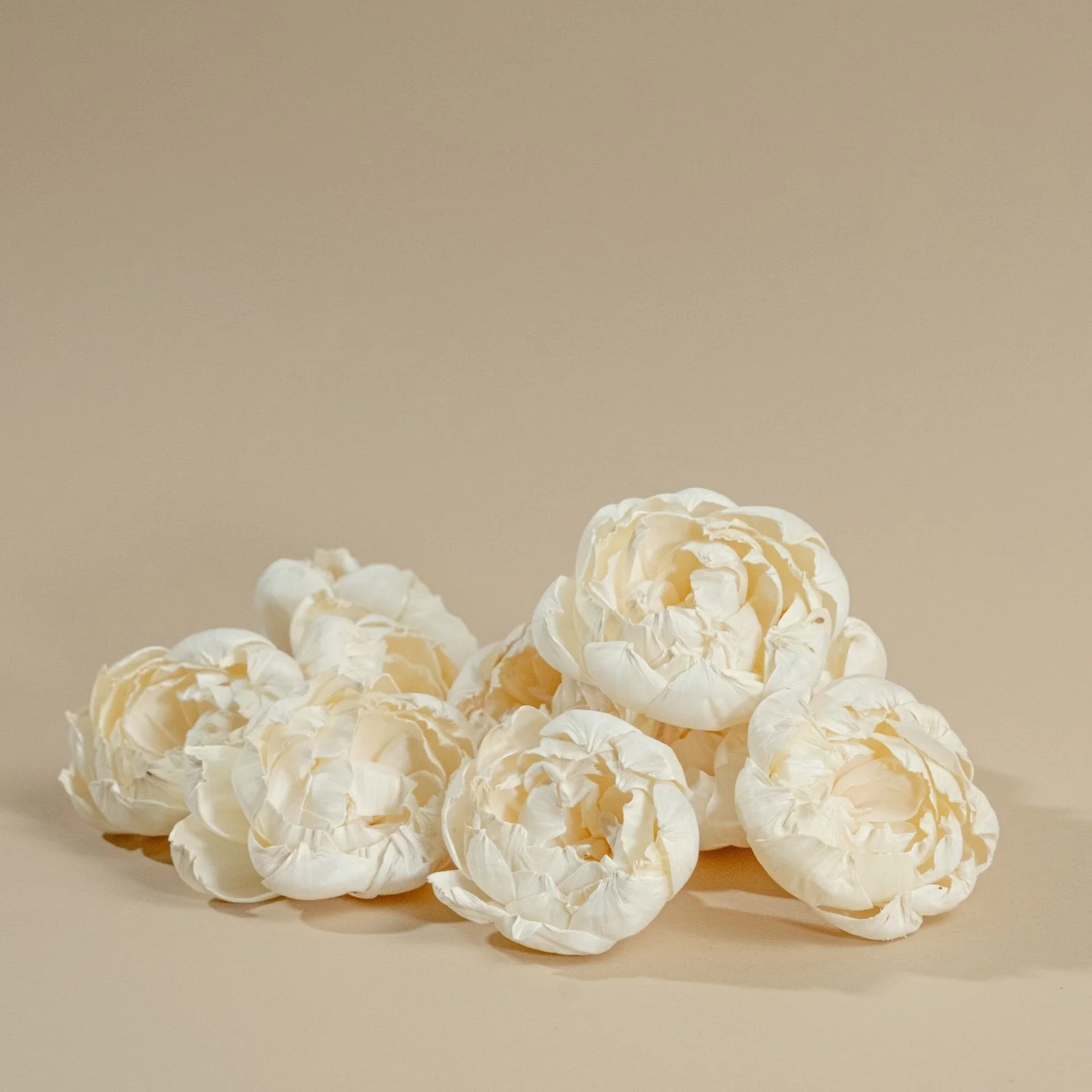 4" Peony (10 Pack) - Image 4