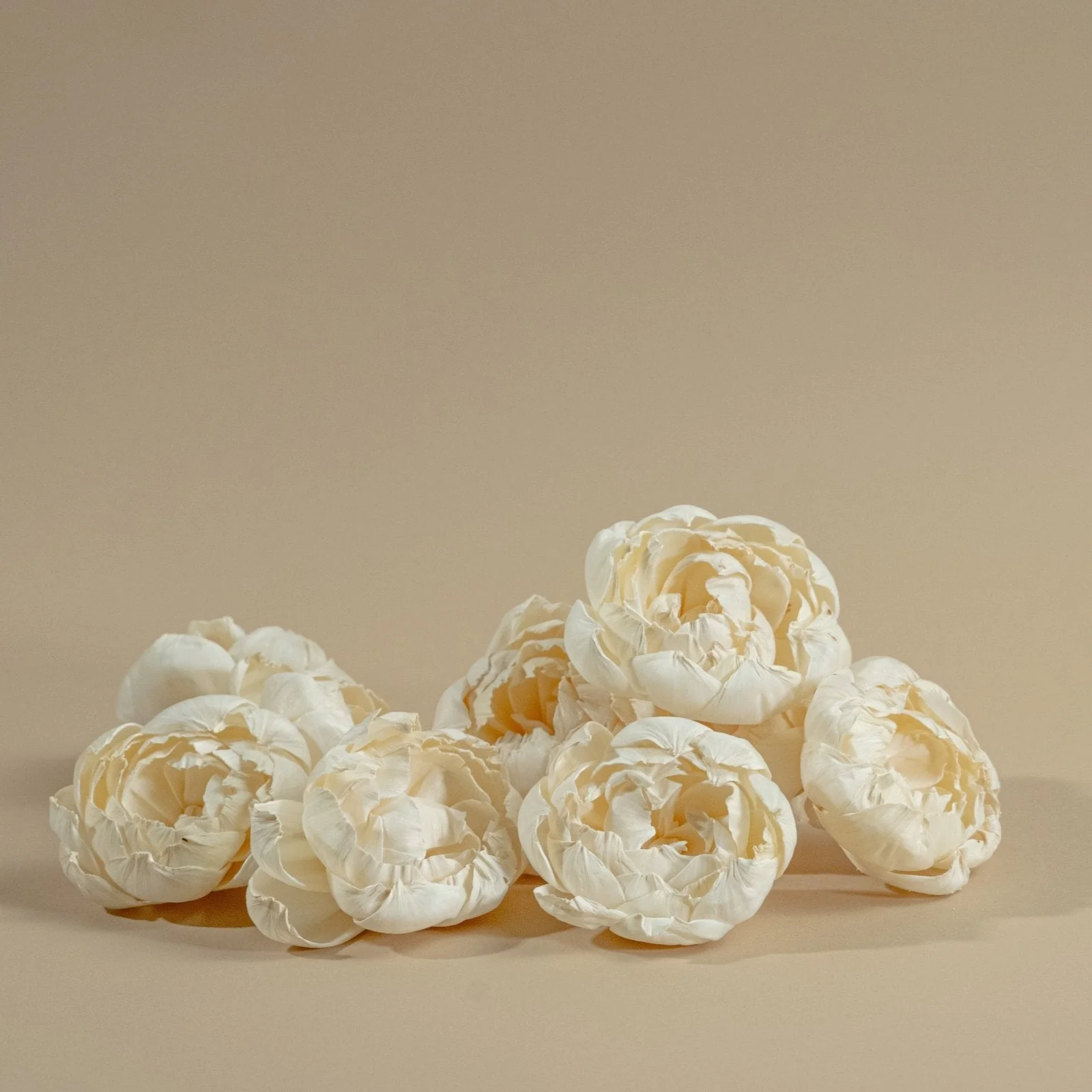 4" Peony (10 Pack) - Image 6