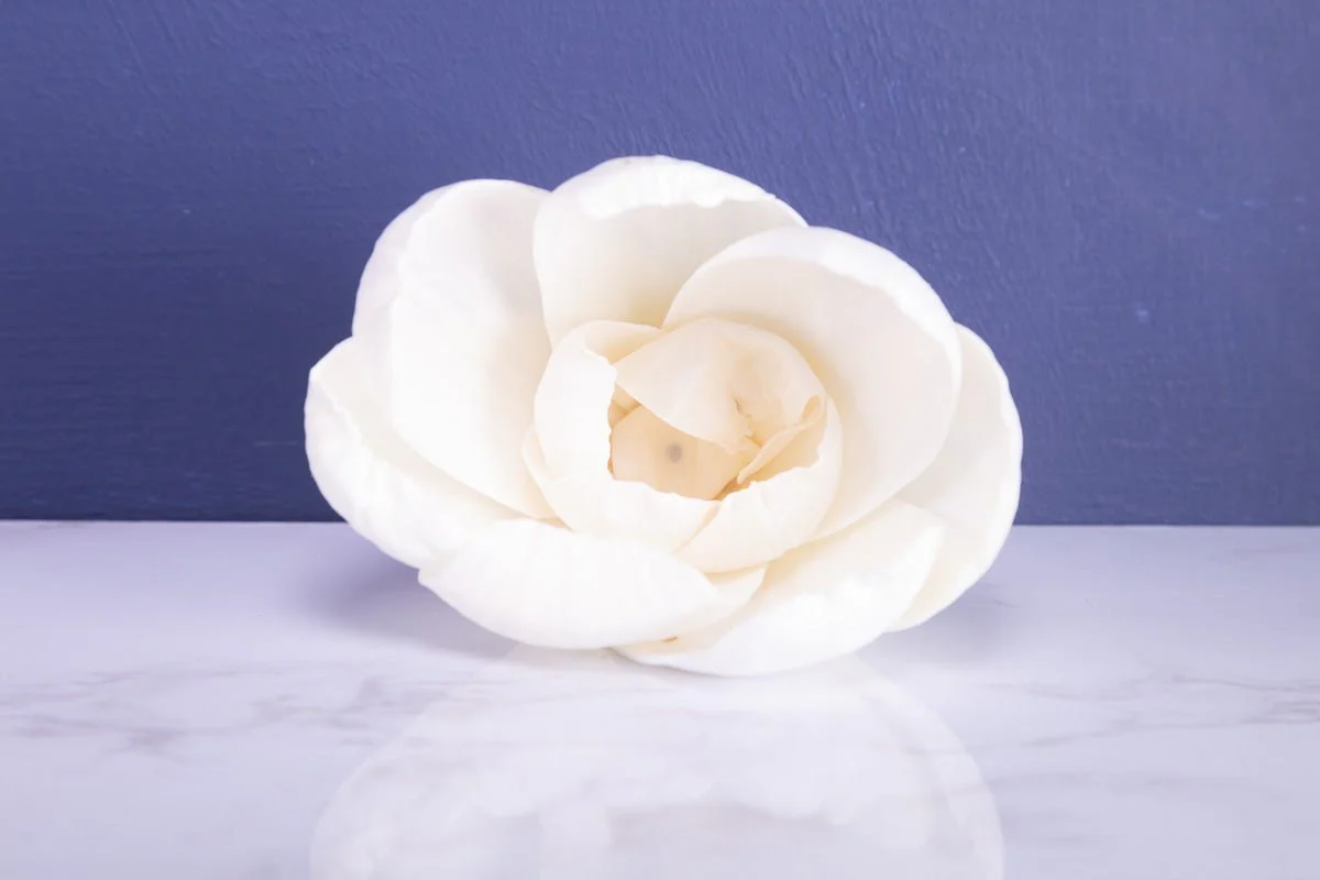 4" Precious Tulip (10 Pack) - Image 3