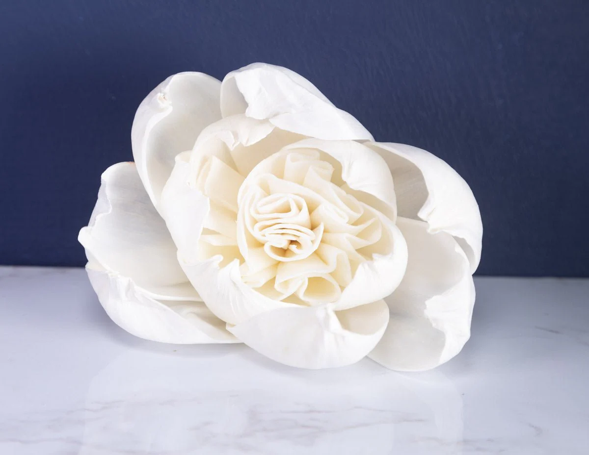 4" Rosie (10 Pack) - Image 3
