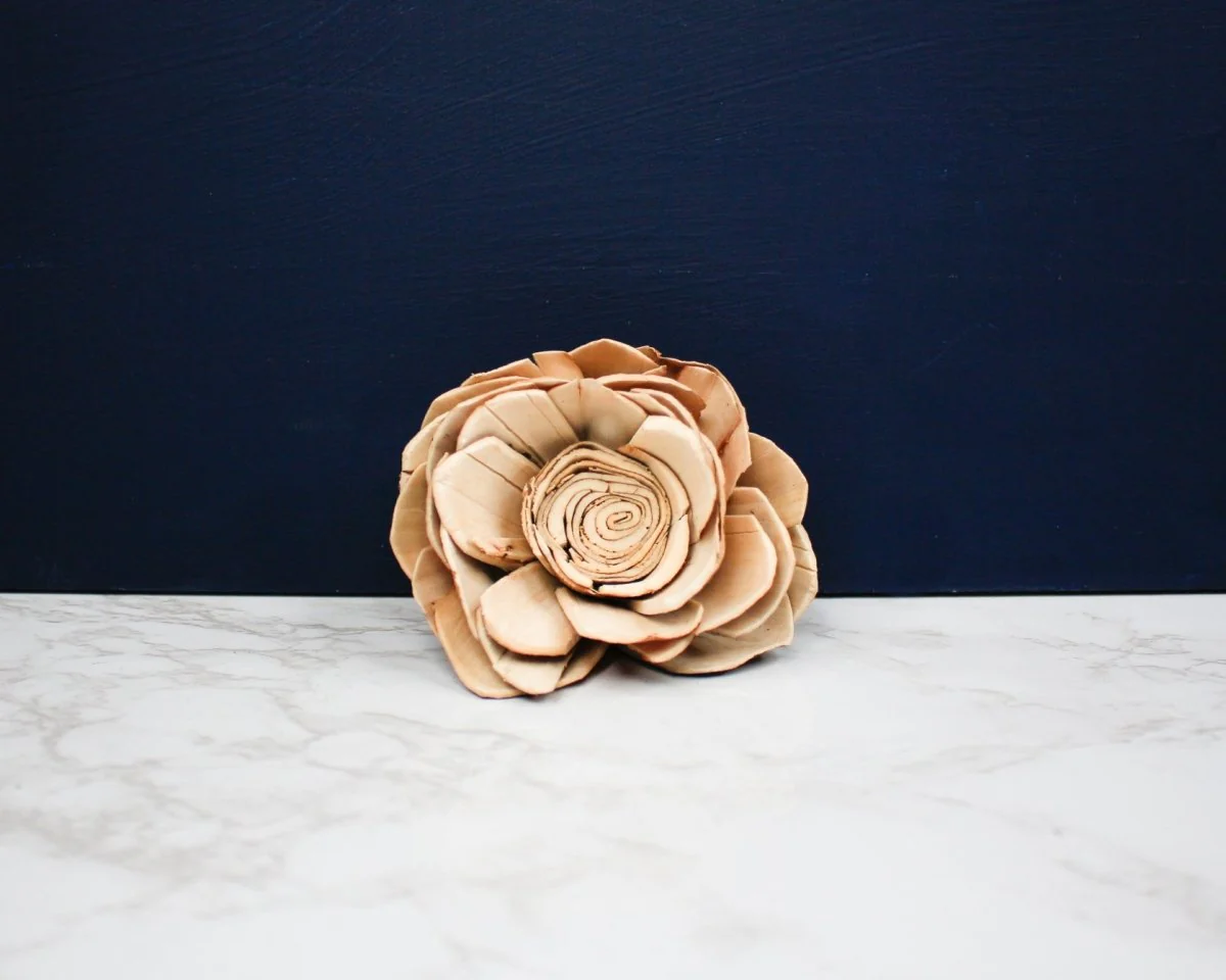 4" Bark Lotus (10 Pack) - Image 2