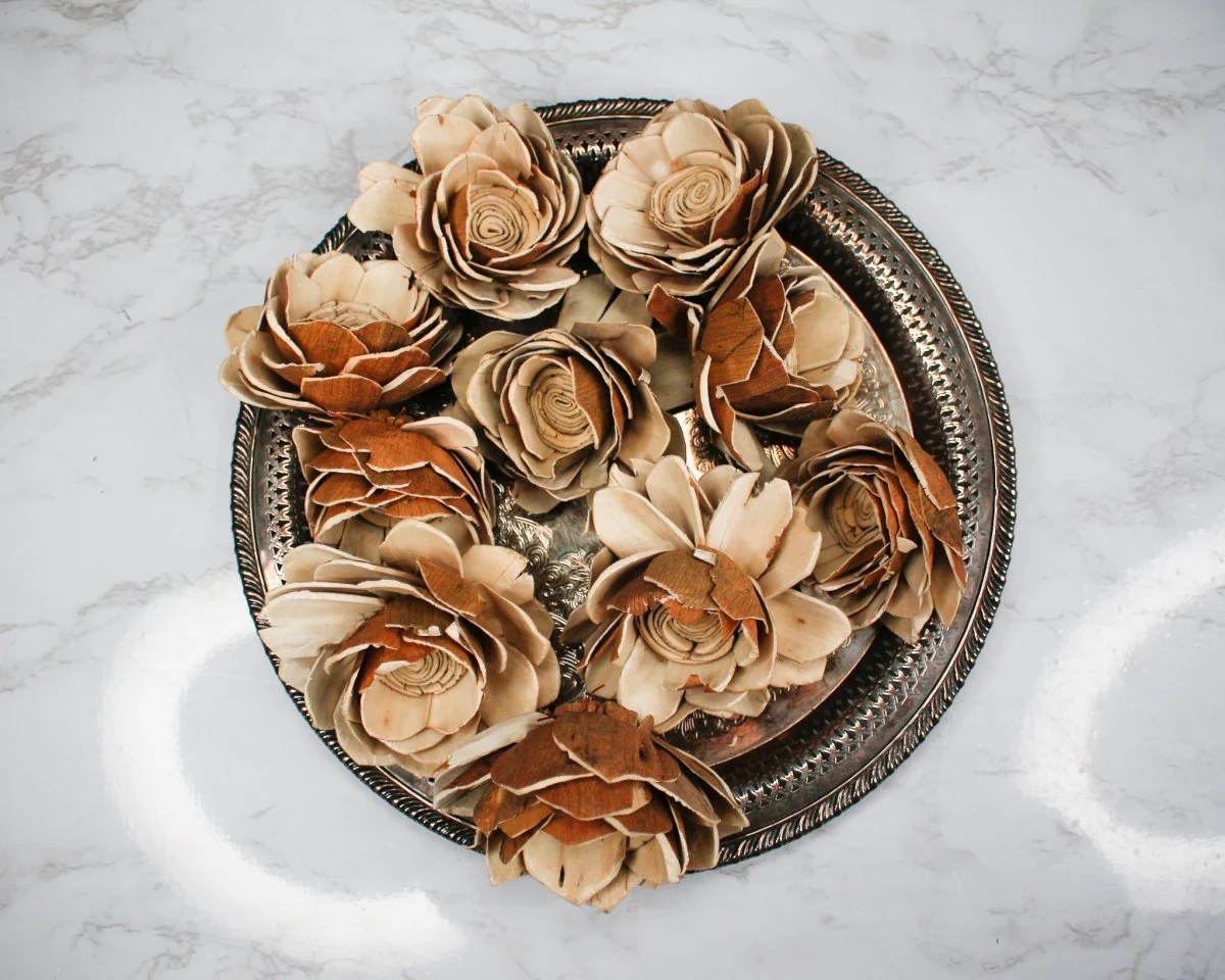 4" Bark Lotus (10 Pack) - Image 3