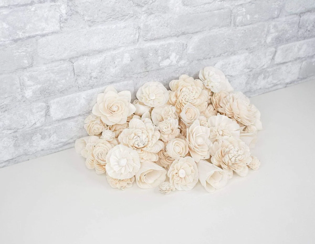 50 Random Assortment - No Bark - Image 3