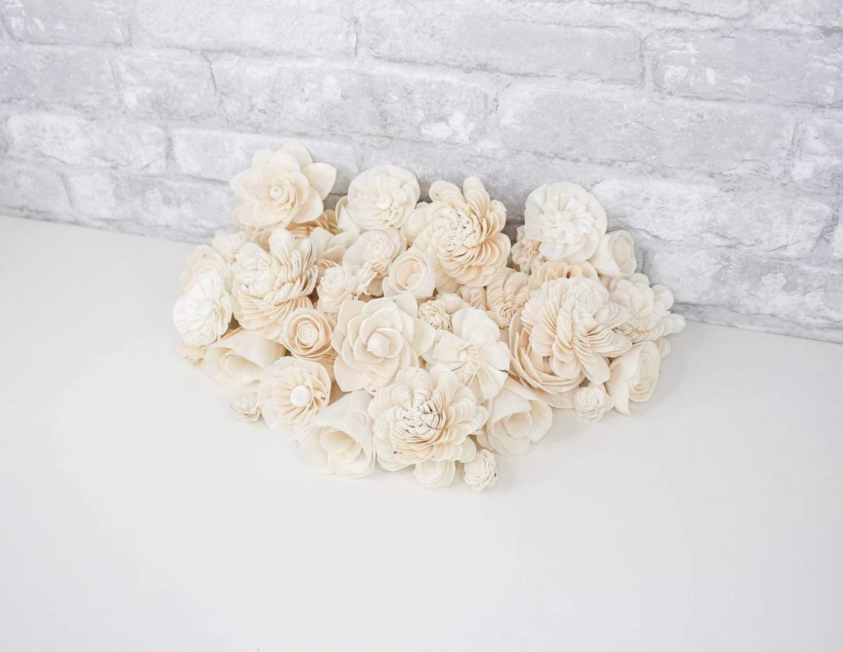 50 Random Assortment - No Bark - Image 4