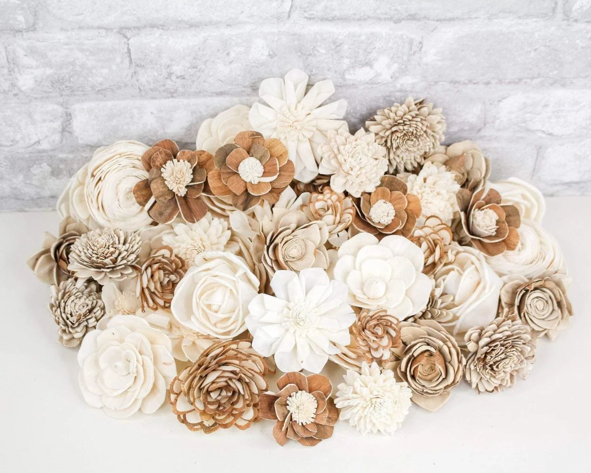 Auntie Em Assortment - 50 Pack - Image 3