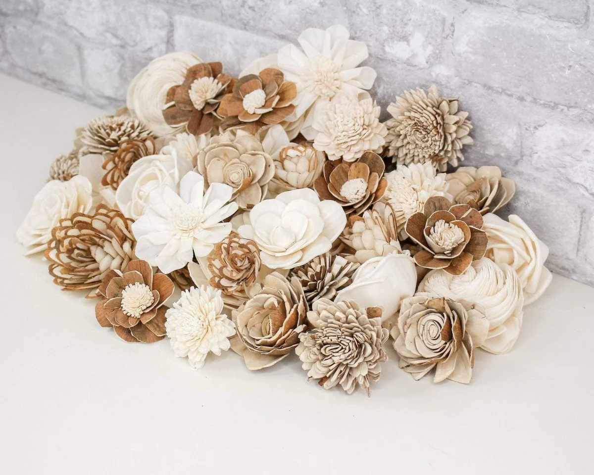 Auntie Em Assortment - 50 Pack - Image 4