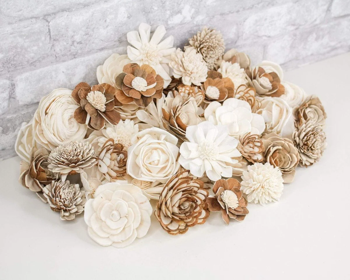 Auntie Em Assortment - 50 Pack - Image 5