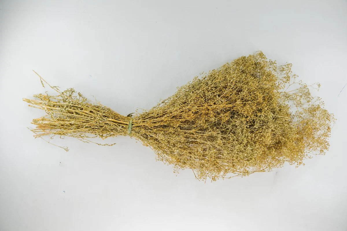 Baby's Breath - Gold Sparkle - Image 4