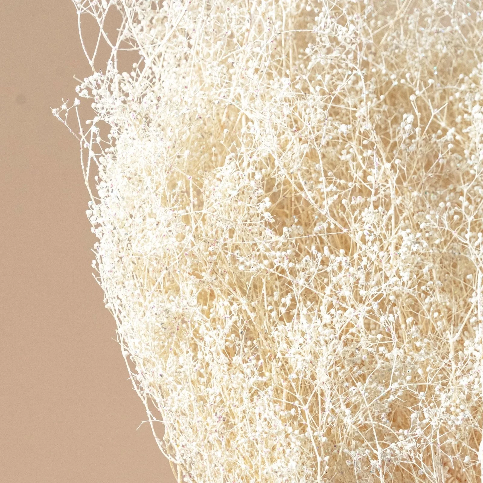 Baby's Breath (White Sparkle) - Sample - Image 3
