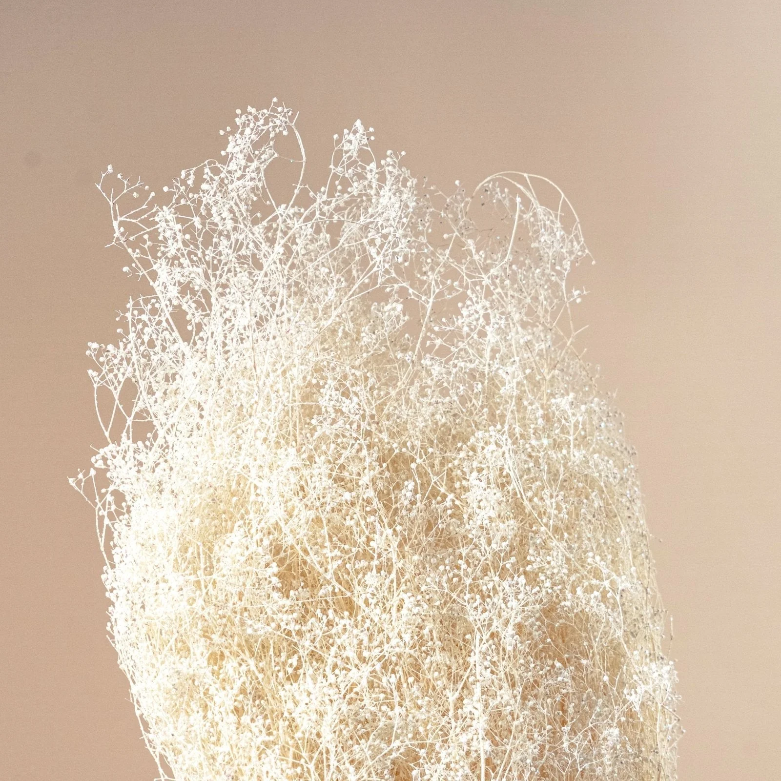 Baby's Breath (White Sparkle) - Sample - Image 4