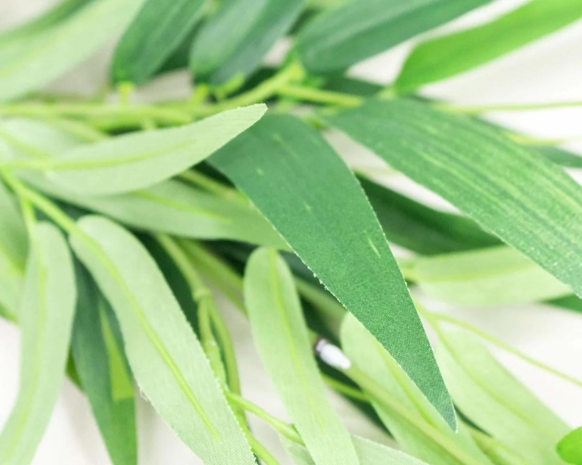 Bamboo Spray - Image 2