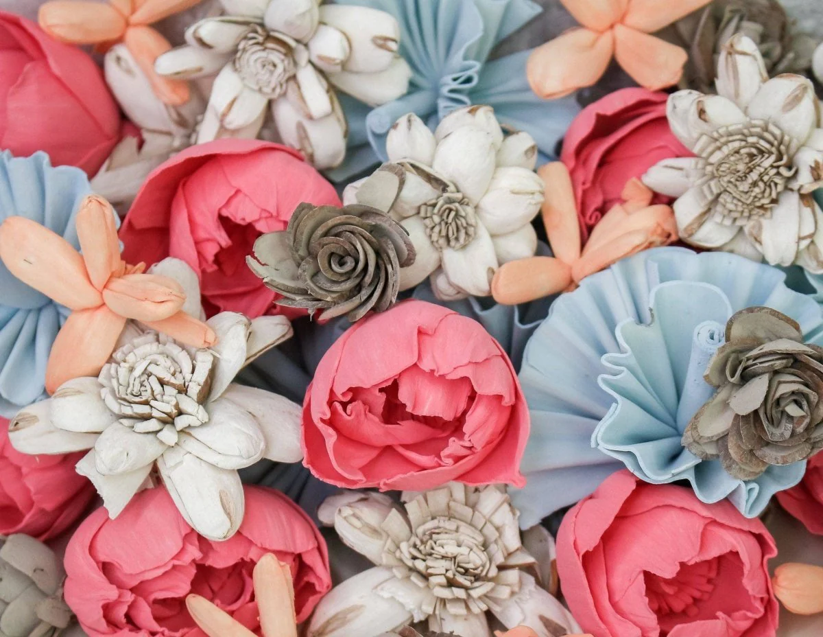 Beach Sand Assortment - Image 2