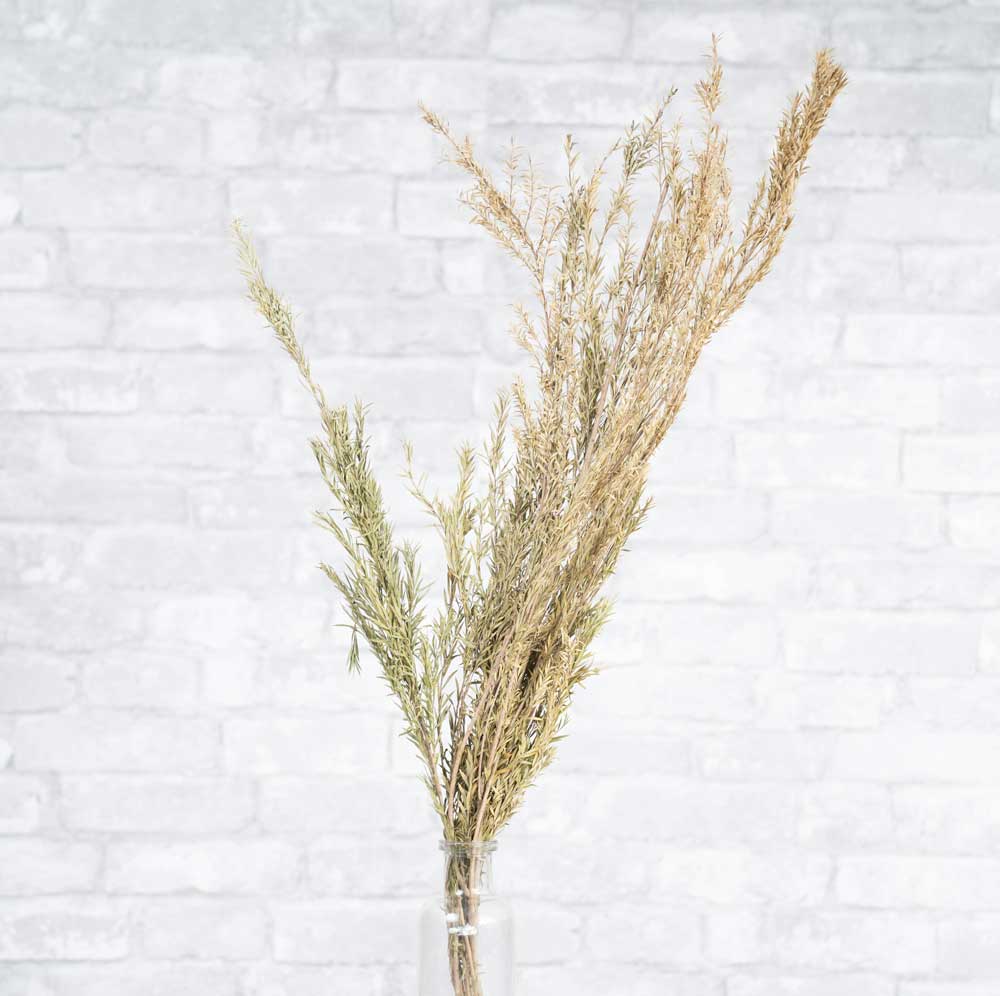 Bottle Brush - Image 3