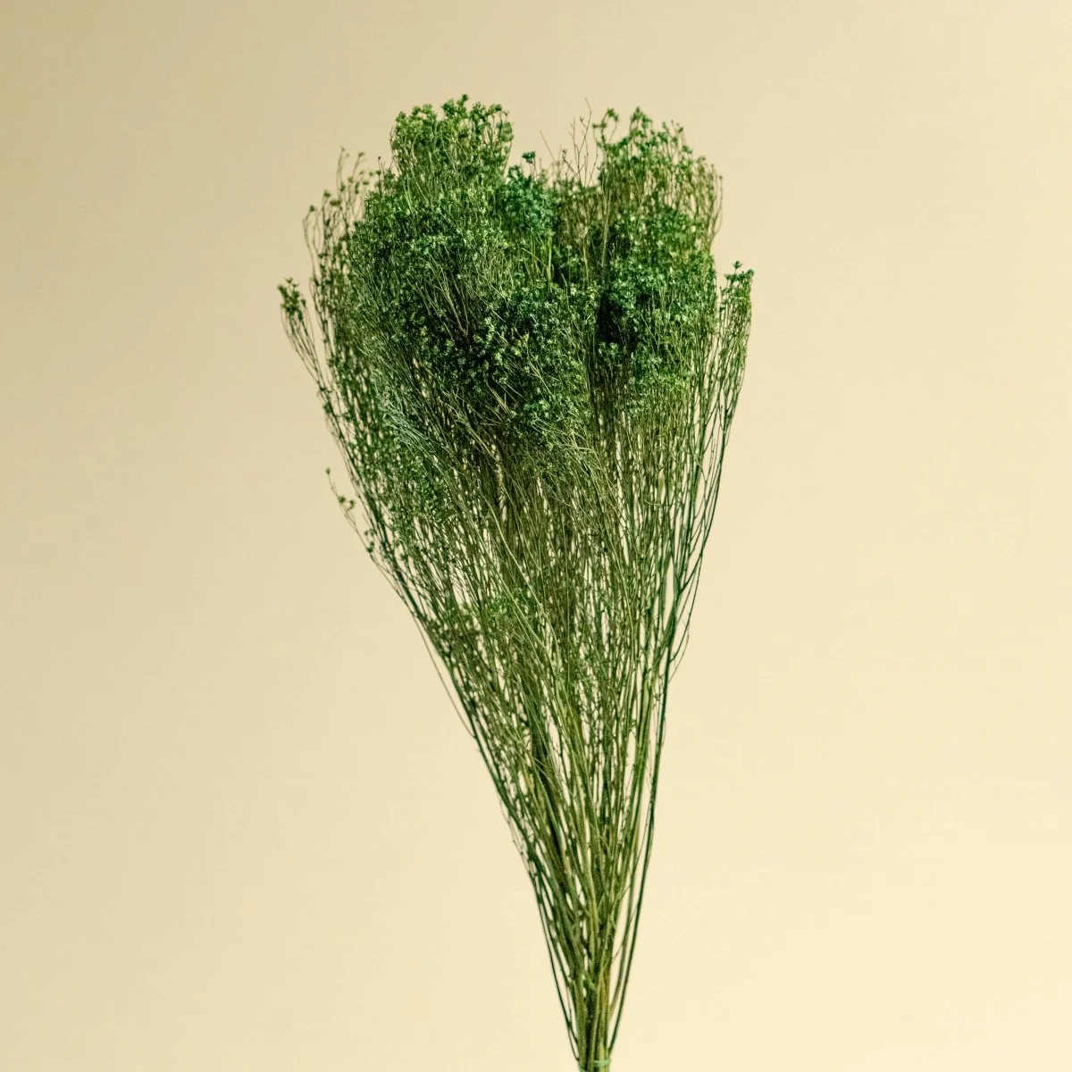 Broom Bloom - Green - Image 5